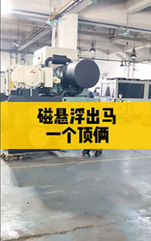 磁懸浮出馬，一個(gè)頂倆！